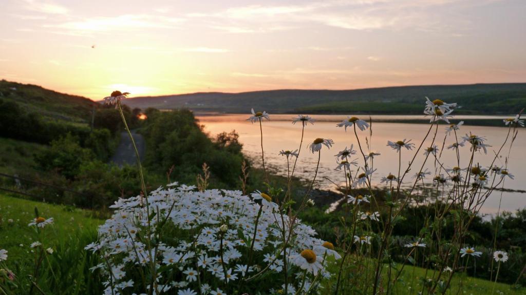Waterfront Rest B&B Clifden Exterior foto